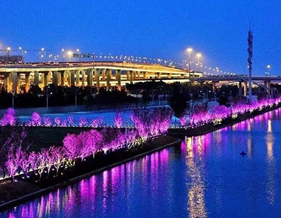 虹桥商务区国家博览中心景观照明提升